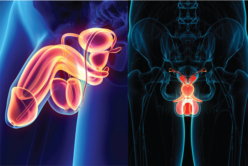 COD单页系统建站,联系QQ：494906791/微信：Cod_web